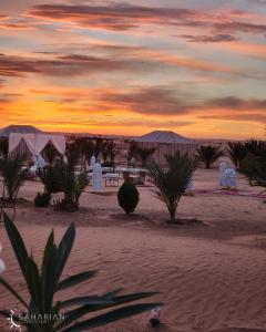 a sunset in the desert with tents and plants at Saharian Luxury Camp Deluxe Familly Quadriple in Merzouga +12 photos