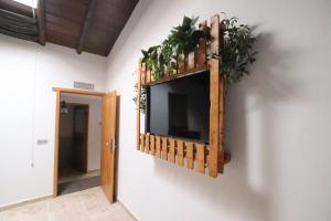 una TV a schermo piatto appesa a un muro con piante di Dani House a Granadilla de Abona