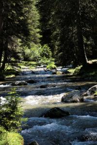 Príroda v okolí apartmánu