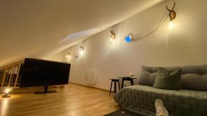 A television and/or entertainment centre at Larix Apartment