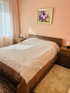 a bedroom with a bed and a painting on the wall at Ani's Guest House in Chepelare