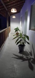 Fotografie z fotogalerie ubytování Casa Versel Trancoso v destinaci Trancoso