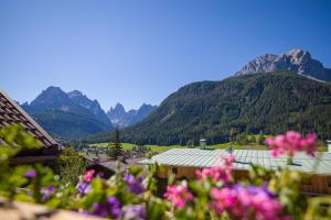 Una vista de montañas con flores en primer plano. en Appartamenti Sonnenuhr, en Sesto