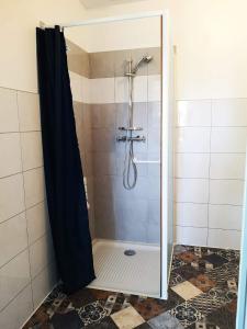 a shower with a glass door in a bathroom at Le Séduisant in Sainte-Anne-sur-Vilaine