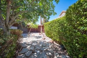 a garden with a tree and a stone walkway at Brilliant 4 Bedroom House With Pool! in Las Vegas