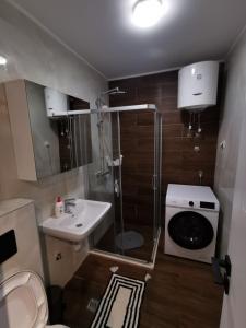 a bathroom with a shower and a sink and a toilet at Apartman Dream Jahorina Snjezna Dolina in Jahorina