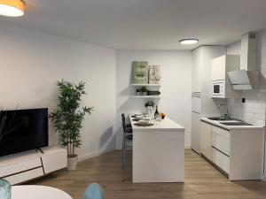 Kuchyňa alebo kuchynka v ubytovaní PUERTO BANUS Apartamento PICASSO