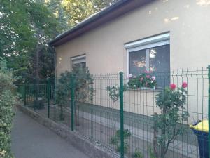 Vonkajšia záhrada v ubytovaní Spacious house in the outskirts of Budapest