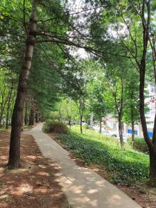 a walking path in a park with trees at Dalseogu Resting Place in Daegu