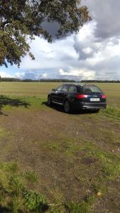 a black car parked in the middle of a field at Altes Bahnerhaus 