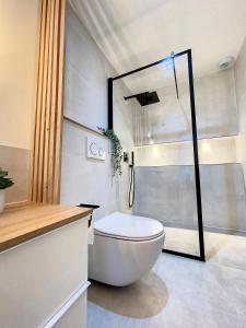 a bathroom with a toilet and a glass shower at AppartChic - appartement standing - plein Centre & Parking privé in Créon