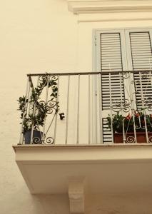 a balcony with potted plants and a window at Beans Street Affittacamere in Mola di Bari