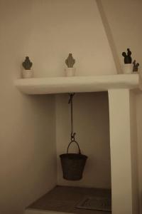 a shelf with three cactuses and a potted plant at Beans Street Affittacamere in Mola di Bari