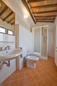 y baño con lavabo y aseo. en Podere San Giuseppe Montalcino, en Montalcino
