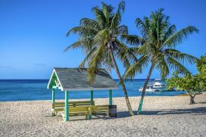 ławka i dwie palmy na plaży w obiekcie Lighthouse Point Residences w mieście West Bay