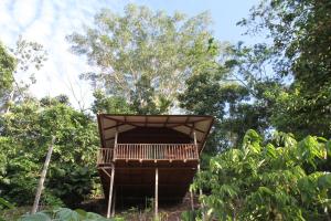 una estructura de madera con un árbol en el fondo en La Musa Verde, en Tarapoto