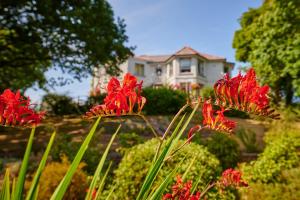 a group of red flowers in front of a house at The Jug And Bottle in Heswall