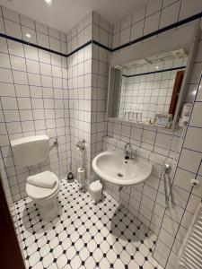 a bathroom with a toilet and a sink at Hotel Restaurant Hüftgold in Plettenberg