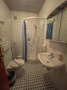 a bathroom with a sink and a toilet and a shower at Hotel Restaurant Hüftgold in Plettenberg