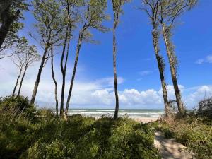 einen Strand mit Bäumen und dem Ozean im Hintergrund in der Unterkunft Chico in Graal-Müritz