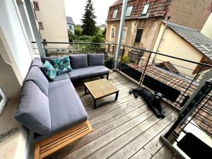 um sofá em cima de uma varanda com um cão em Belle chambre cosy, proche centre-ville et gare em Colmar