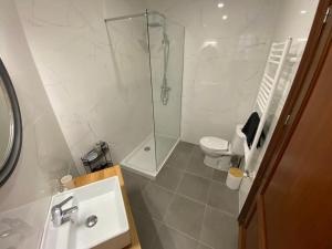 a bathroom with a shower and a sink and a toilet at Apartamento Concarera in Tudela
