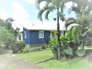 a blue house with palm trees in front of it at Serenity in Gros-Morne