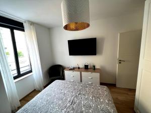 um quarto com uma cama e uma televisão de ecrã plano em Belle chambre cosy, proche centre-ville et gare em Colmar