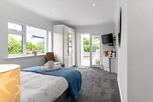 a bedroom with a bed with a blue blanket and windows at Private Room with Private Entrance. in Galway