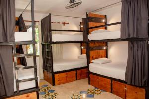 Letto o letti in una camera di Che Nomadas Mérida Hostel Adults Only