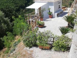 een tuin met potplanten en een wit huis bij Amalfi Coast - Mini Cottage vista mare con giardino in Vietri