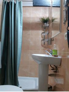 uma casa de banho com um lavatório e um chuveiro em Apartamento en Barrio San Basilio em Córdoba