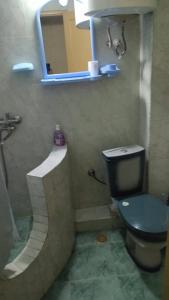 La salle de bains est pourvue de toilettes bleues et d'un miroir. dans l'établissement Kandelaki, à Tbilissi