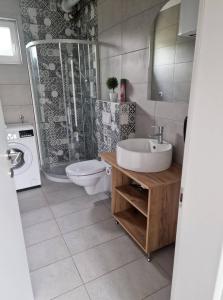 y baño con lavabo, aseo y ducha. en Kuća za odmor GRAŠEVINA, en Kutjevo