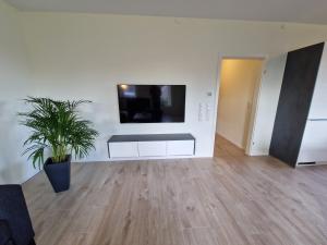 ein Wohnzimmer mit einer Topfpflanze und einem Flachbild-TV in der Unterkunft Apartment nahe Meyer Werft in Ostfriesland mit Küche & Netflix in Westoverledingen