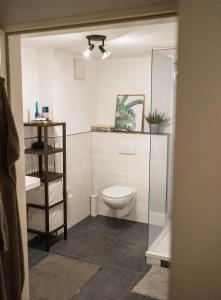 W łazience znajduje się toaleta i przeszklony prysznic. w obiekcie Ruhiges Apartment mit großem Balkon und Stellplatz w Lipsku