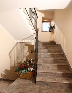 Gallery image of Residence Cime d'Oro in Andalo
