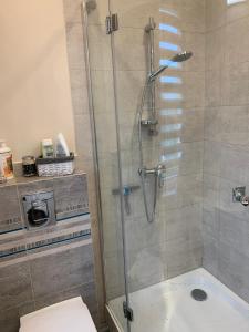 a shower with a glass door in a bathroom at Apartament z ogrodem Harcerska 4 in Zamość