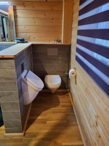 een kleine badkamer met een toilet en een wastafel bij Blockhaus im Süden Deutschlands in Höchenschwand