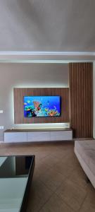 TV a/nebo společenská místnost v ubytování Luis Penthouse