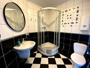 a bathroom with a shower and a sink and a toilet at Apartament Brisa in Pobierowo +10 photos