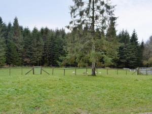 drzewo na polu obok płotu w obiekcie The Cow Shed w mieście Llanfair-ar-y-bryn
