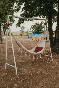 a hammock hanging from a tree in a park at Terrazzo house in Subotica