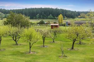 a group of trees in a field with a barn at Trumpeter Inn in Friday Harbor