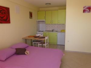 Kuchyň nebo kuchyňský kout v ubytování Apartments Jana