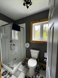 a bathroom with a shower and a white toilet at Chill Shack - Auberge Jeunesse in Sainte-Anne-des-Monts