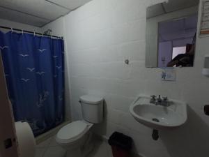 a bathroom with a toilet and a sink at Hotel Ibiza in Armenia