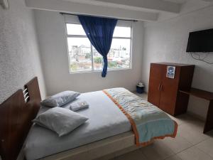 1 dormitorio con 1 cama grande y ventana en Hotel Ibiza, en Armenia