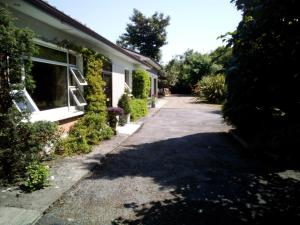 a house with ivy growing on the side of it at Spacious Contemporary Chalet type Apartment. in Galway