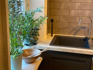 uma cozinha com um lavatório e dois vasos de plantas em Innkeeper's House em Easingwold